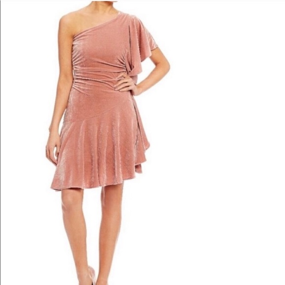 Gianni Bini Dresses & Skirts - GB Rose Crush Blush Pink One Shoulder Velvet Dress
